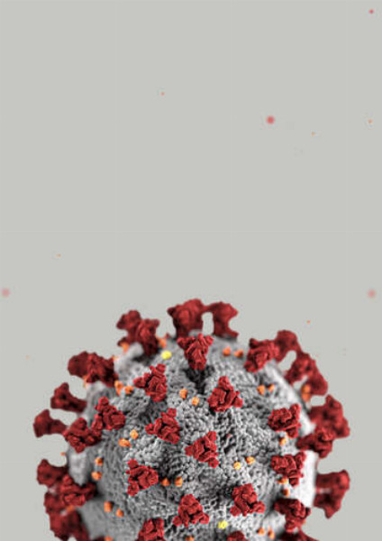 Модель будови коронавірусу