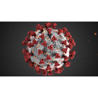 Увеличенное изображение коронавируса