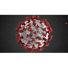 Збільшене зображення коронавірусу