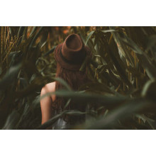 Романтичний образ дівчини в полі кукурудзи