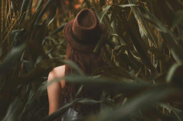 Романтический образ девушки в поле кукурузы