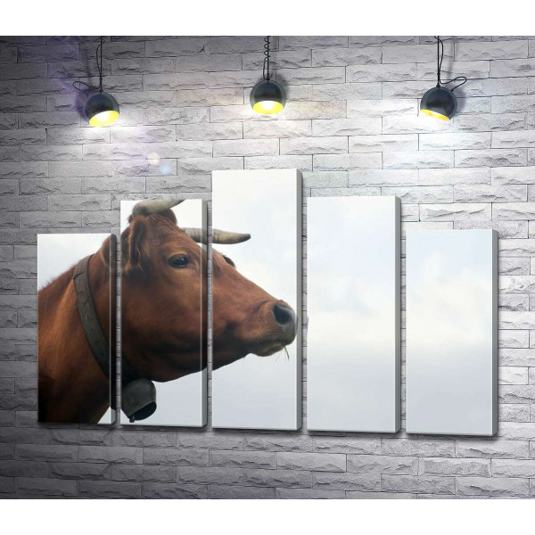 Железный колокольчик на шее рогатой коровы