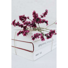 Мінімалістична краса білих книг з акцентом на бордові квіти кермеку 