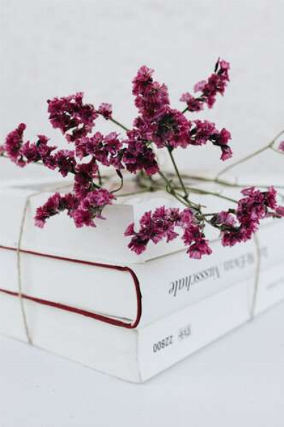 Минималистичная красота белых книг с акцентом на бордовые цветы кермека