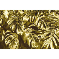 Роскошное золото листьев монстеры