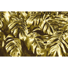 Розкішне золото листків монстери