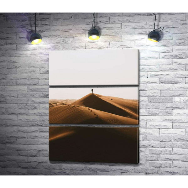 Самотній силует на пагорбах пустелі