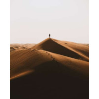Одинокий силуэт на холмах пустыни