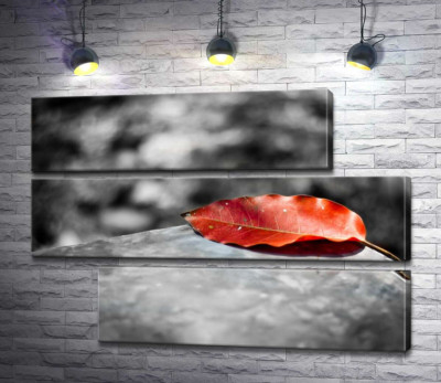 Модульна картина "Самотній червоний листок лежить на камені"
