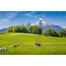 Живописные альпийские луга на фоне гор