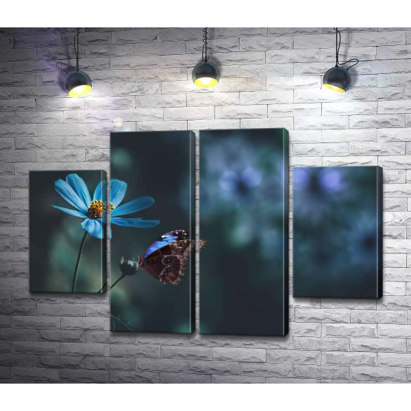 Візерунковий метелик поруч із синьою польовою квіткою