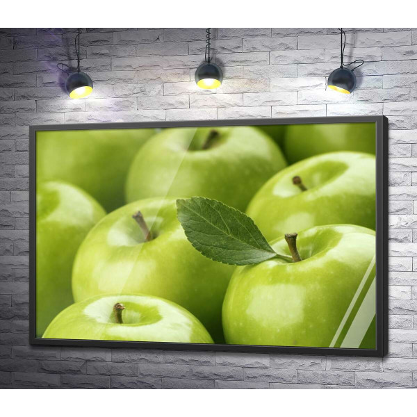 Набор сочных зеленых яблок