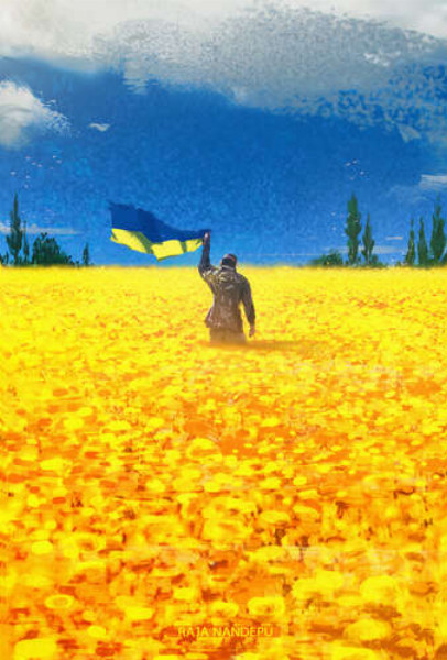 Украинский воин с флагом посреди подсолнухов