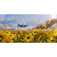 Літак ЗСУ мчить над полем соняшників