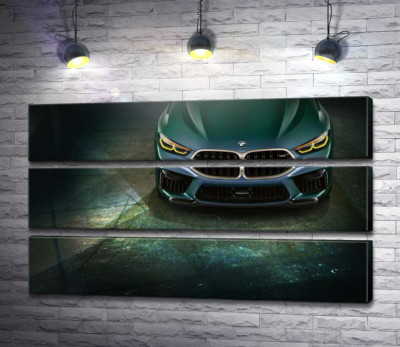 Модульная картина "Стильные формы передней части BMW"
