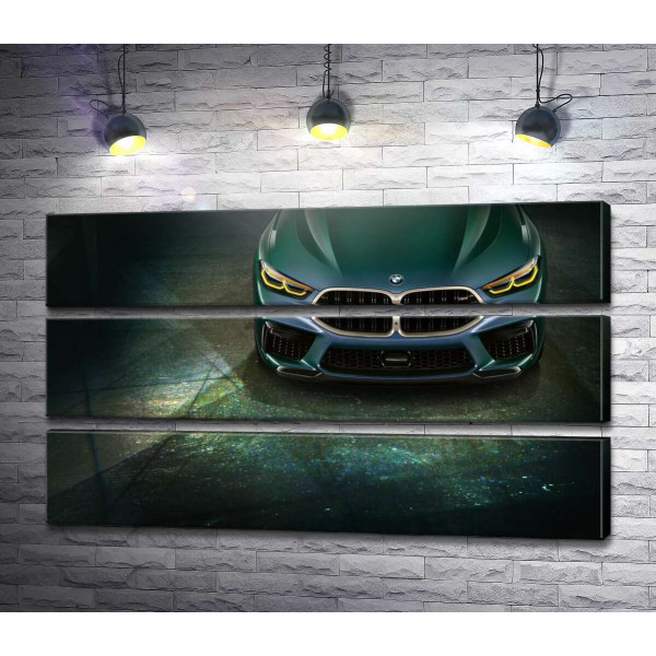 Стильные формы передней части BMW