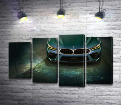 Модульная картина "Стильные формы передней части BMW"