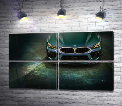 Модульная картина "Стильные формы передней части BMW"