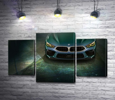 Модульная картина "Стильные формы передней части BMW"