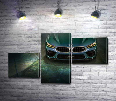 Модульна картина "Стильні форми передньої частини BMW"