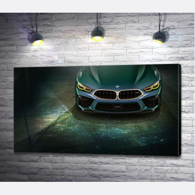 Стильные формы передней части BMW