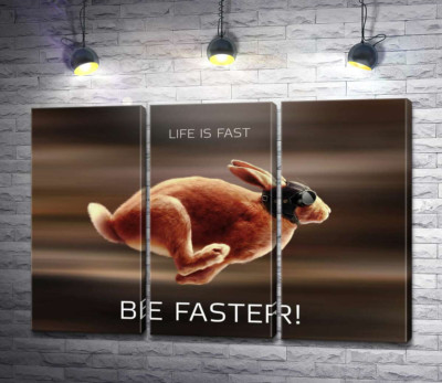 Модульная картина "Заяц-гонщик - Life is Fast"
