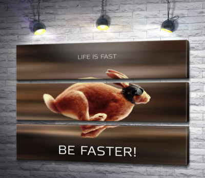 Заяц-гонщик - Life is Fast