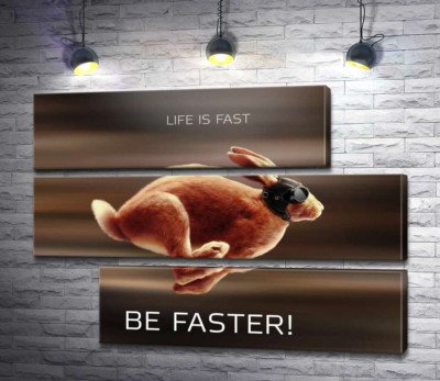 Модульна картина "Заєць-гонщик - Life is Fast"
