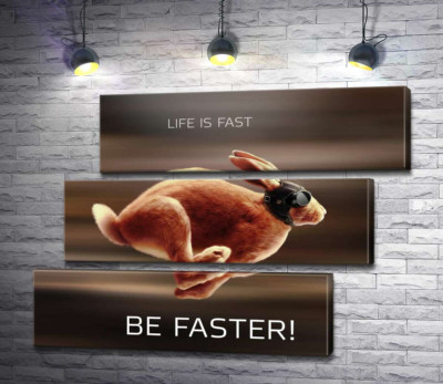 Модульная картина "Заяц-гонщик - Life is Fast"