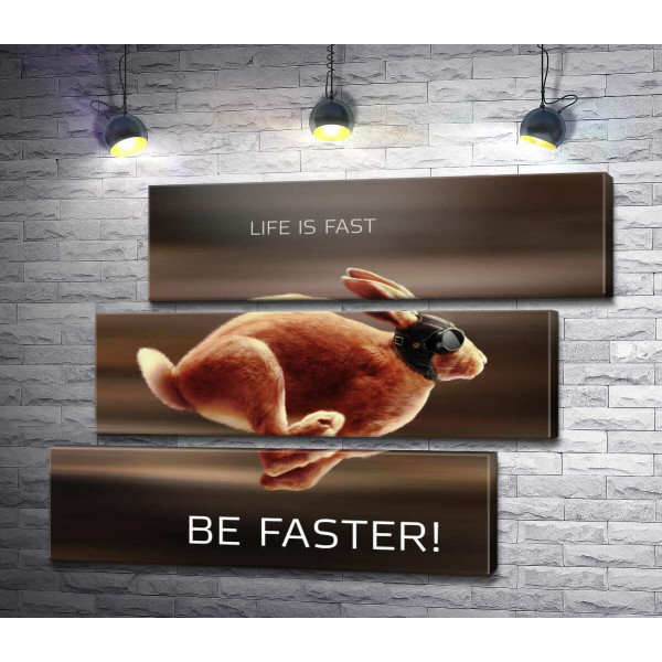 Заяц-гонщик - Life is Fast