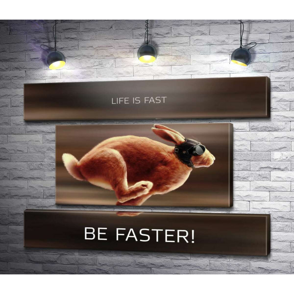 Заєць-гонщик - Life is Fast