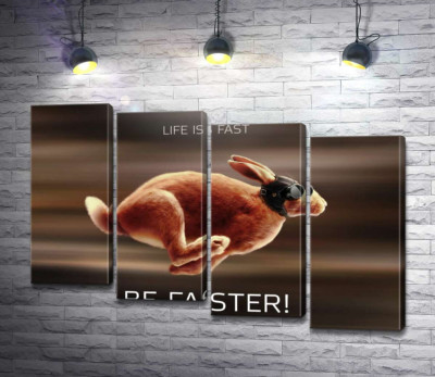 Заєць-гонщик - Life is Fast