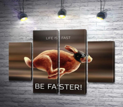 Модульная картина "Заяц-гонщик - Life is Fast"