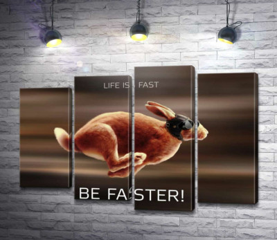 Модульная картина "Заяц-гонщик - Life is Fast"