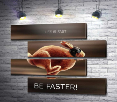Заєць-гонщик - Life is Fast