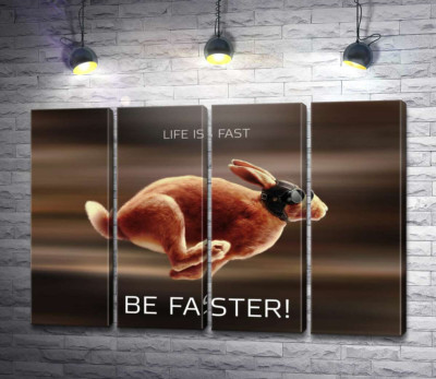 Модульна картина "Заєць-гонщик - Life is Fast"