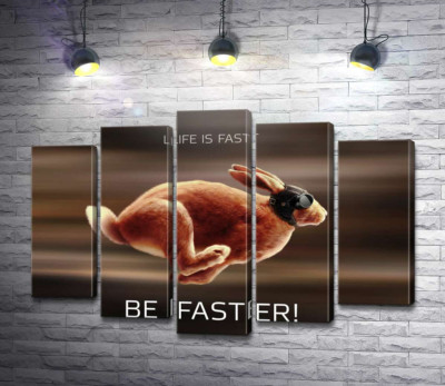 Модульна картина "Заєць-гонщик - Life is Fast"