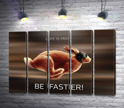 Заяц-гонщик - Life is Fast