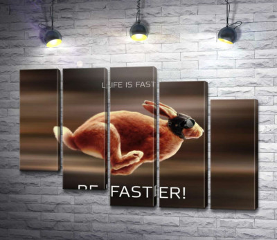Модульна картина "Заєць-гонщик - Life is Fast"