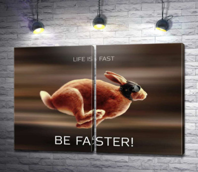 Модульная картина "Заяц-гонщик - Life is Fast"