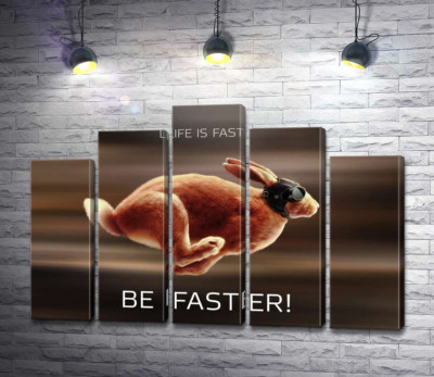 Заєць-гонщик - Life is Fast