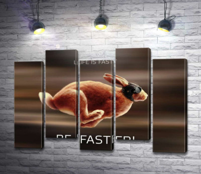 Модульна картина "Заєць-гонщик - Life is Fast"