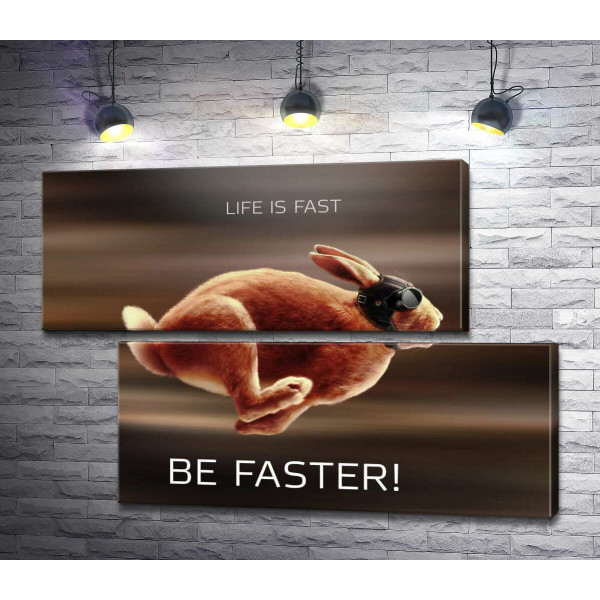 Заєць-гонщик - Life is Fast