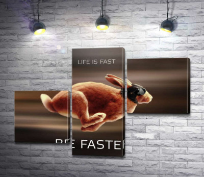 Заяц-гонщик - Life is Fast