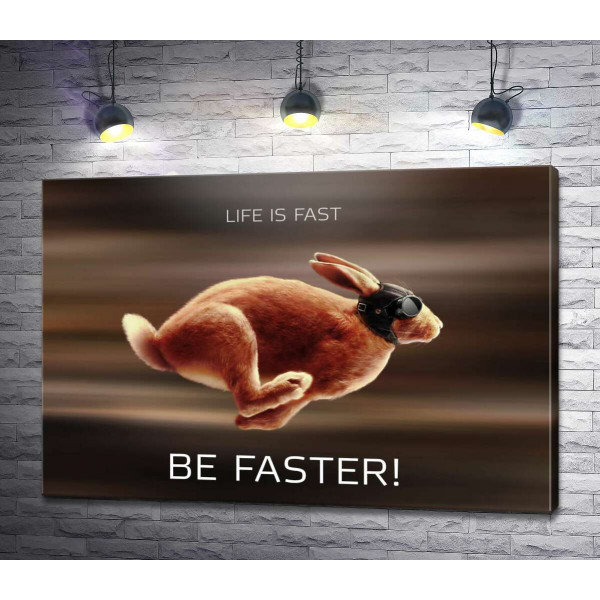 Заяц-гонщик - Life is Fast