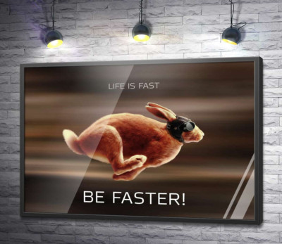 Постер "Заяц-гонщик - Life is Fast"