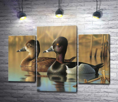 Модульна картина "Дві качки завмерли на поверхні води"