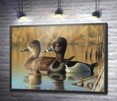 Постер "Дві качки завмерли на поверхні води"