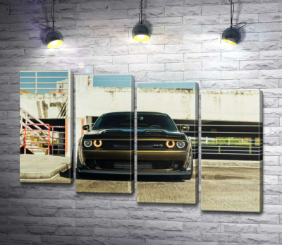 Пристальный взгляд Dodge Challenger