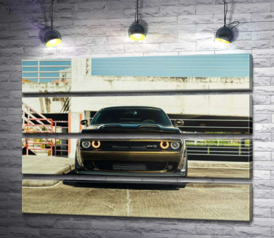 Модульна картина "Пильний погляд Dodge Challenger"